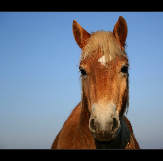 Ahoj co tam delas???