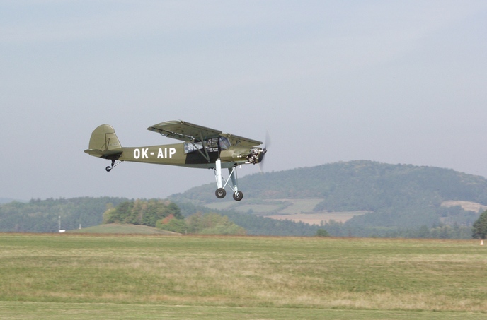 Storch