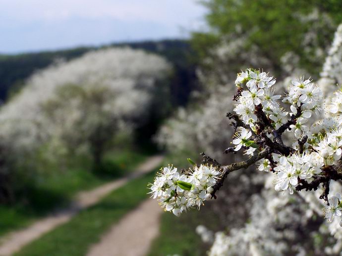 no co tesite sa i vy na jar???