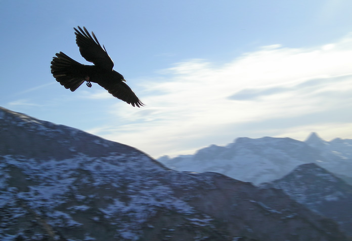 flying high
