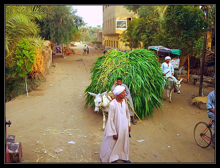 Egypt......
