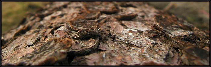 Hádanka
