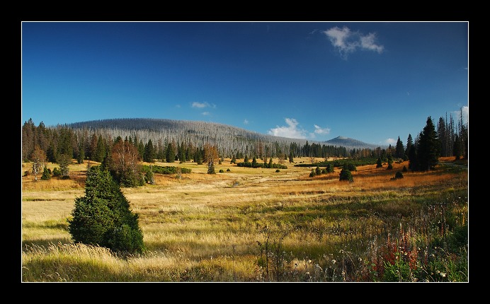 Luzenské údolí