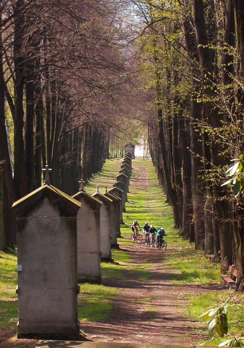Křížová cesta