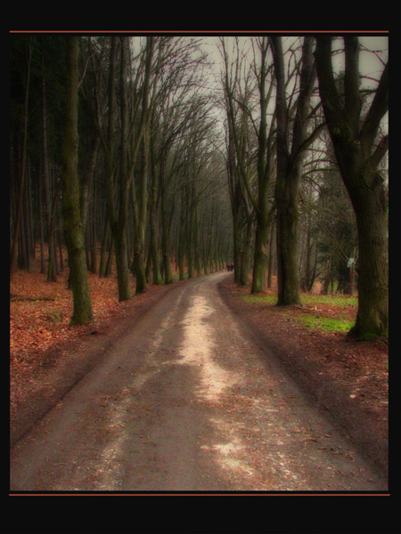 ..cesta...