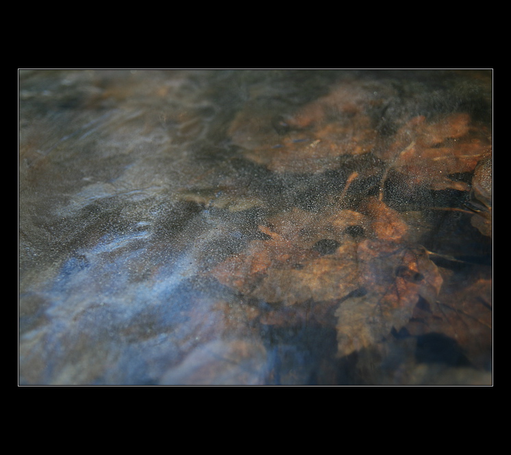 Podzim schovaný za zimou