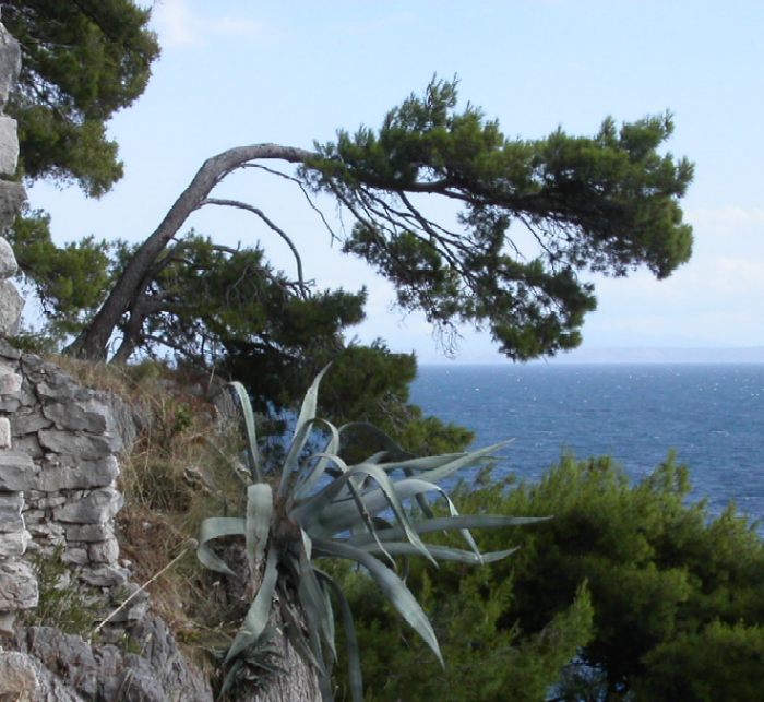 Chorvatské pobřeží 2006