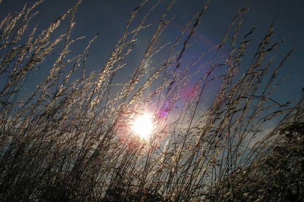 Léto,léto,léto už aby tu bylo