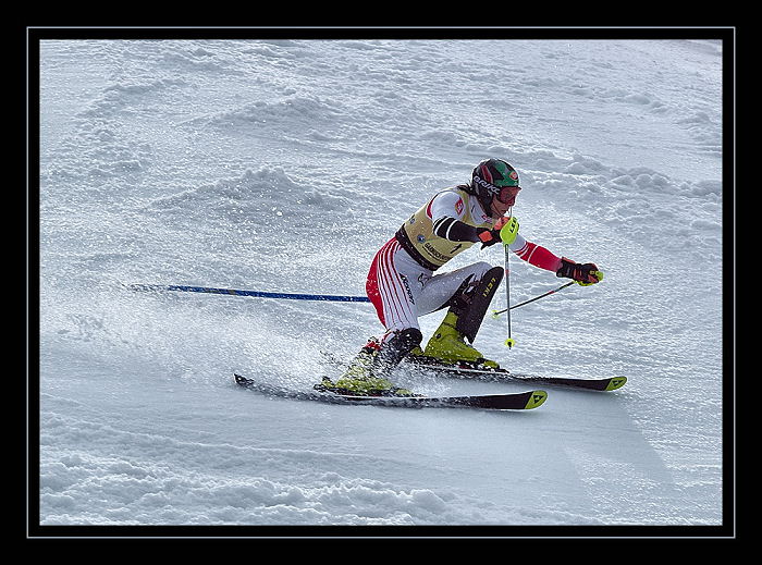 vitez...