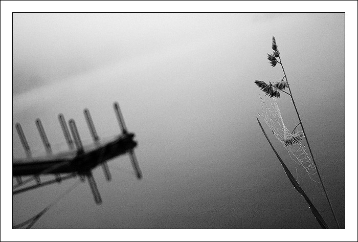 ze života převozníka XII