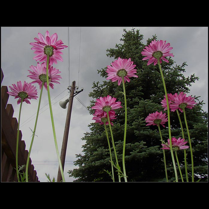 Vysílání pro nejmenší