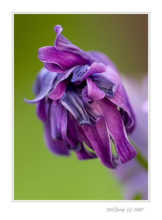 Tak se nám to nějak zamotalo....