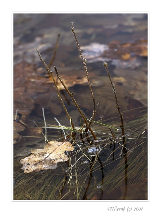 ....jarně  naladěná