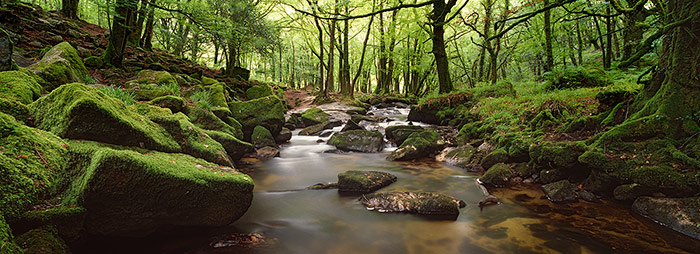 Golitha Falls2