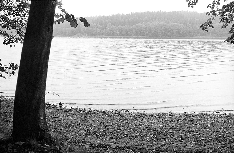 K vodě /3