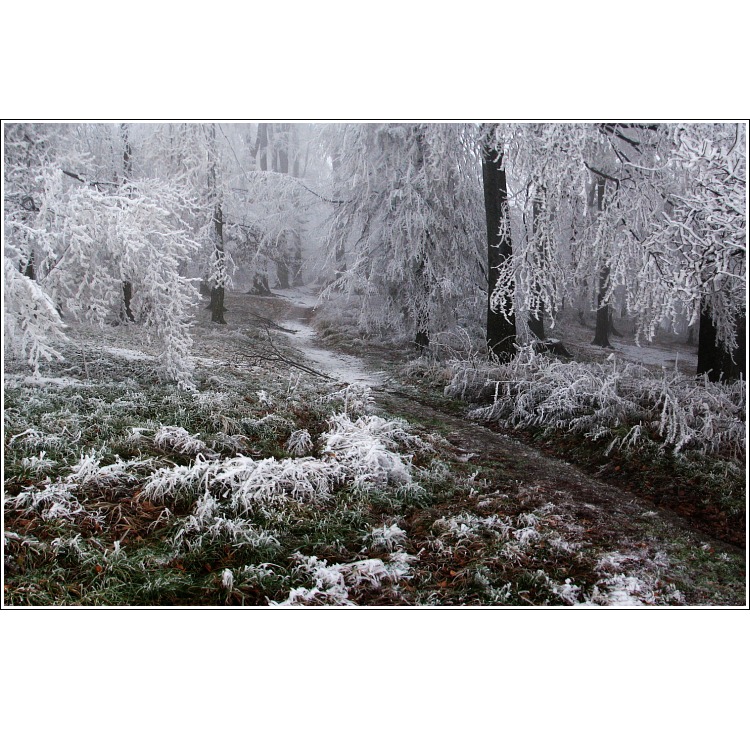 Túlavým chodníkom  V.