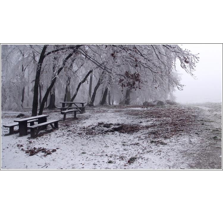 Túlavým chodníkom  VII.