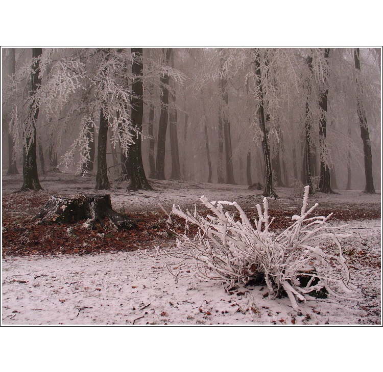 Túlavým chodníkom  IX.