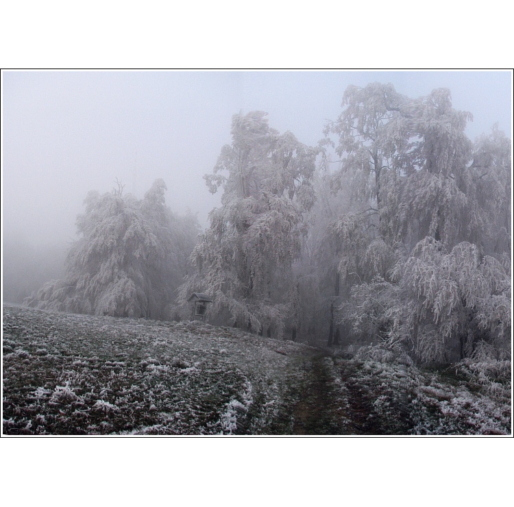 Túlavým chodníkom  XI.