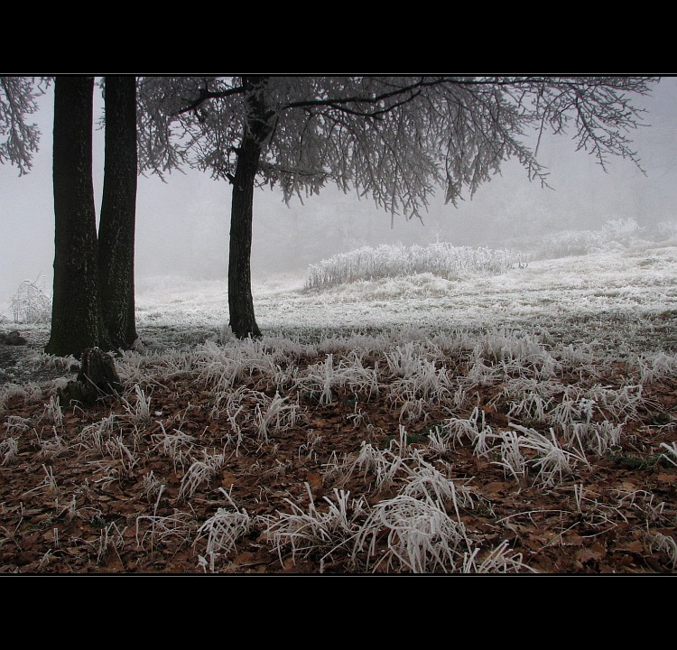 Túlavým chodníkom  XIII.