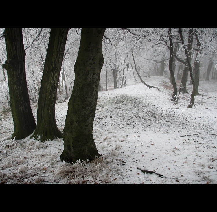 Túlavým chodníkom  XV.