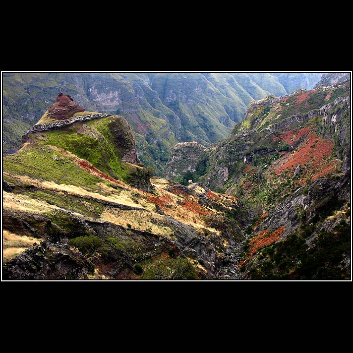 Madeira