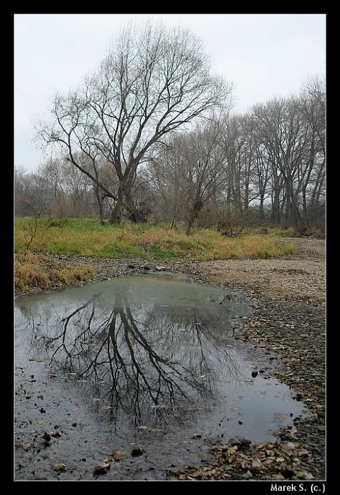Řeka XII