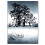 .: ZIMNÍ OBRÁZKY IV. :.