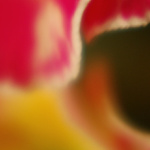 - another life II. -