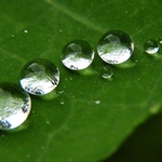 V řadě za sebou ...