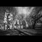 Panenský Týnec podruhé