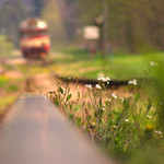 snáď si nás nevšimne