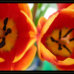 two