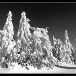 Katedrála na Sněžníku