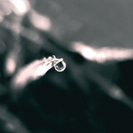 melodická akumulácia