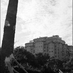 lapalma