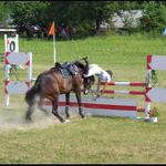 I takto se dají překonávat překážky :-)