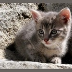 strach má velké oči