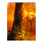 Nevěsta na čekané