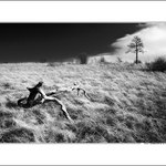 A v prach sa obrátiš..