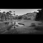 Jezerní oblast - CHILE III