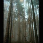 mlha stokrát jinak 012