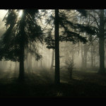 mlha stokrát jinak 013