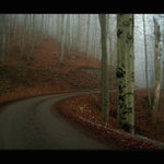 mlha stokrát jinak 014