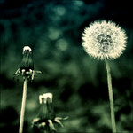 Introvert potkává extroverta