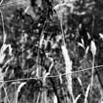 Na plot koukati a Bermudsky trojuhelnik videti