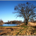 Bohdanečské rybníky.