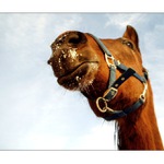 chlupata slecna s cumakem od snehu:)