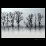 Za mlhou co dala by se krájet...