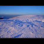 "nikde ani živáčka"